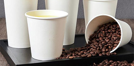 /Comprehensive analysis of the paper cup market